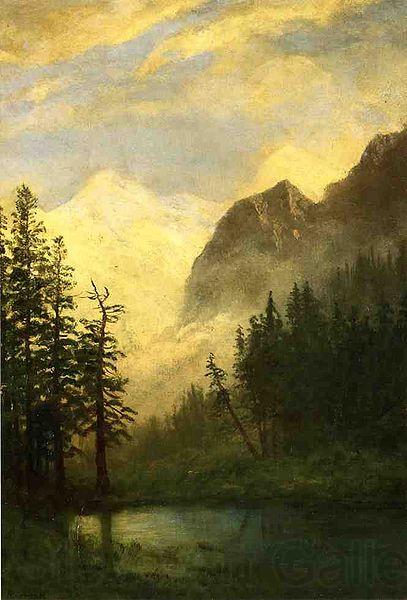 Albert Bierstadt Moonlit Landscape France oil painting art